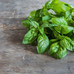 Basilic bio