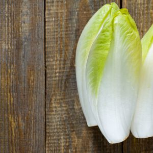 Endive bio