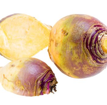 Rutabaga bio