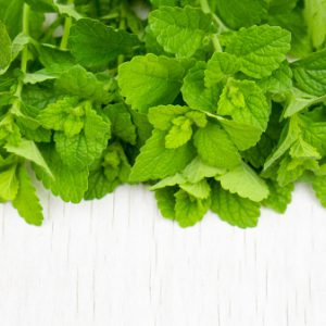 Menthe bio