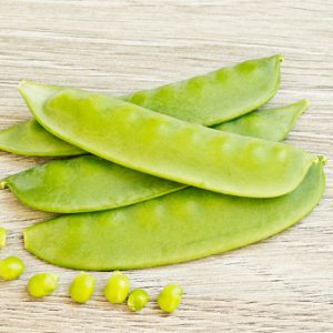 Pois mangetout bio