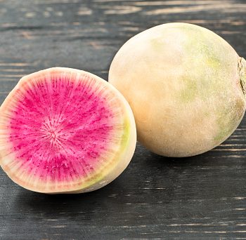 Radis asiatique bio
