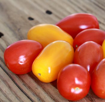 Tomate cerise bio