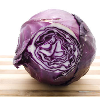 Chou rouge Bio