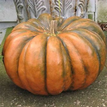 Musquée de provence 1kg (à la coupe)